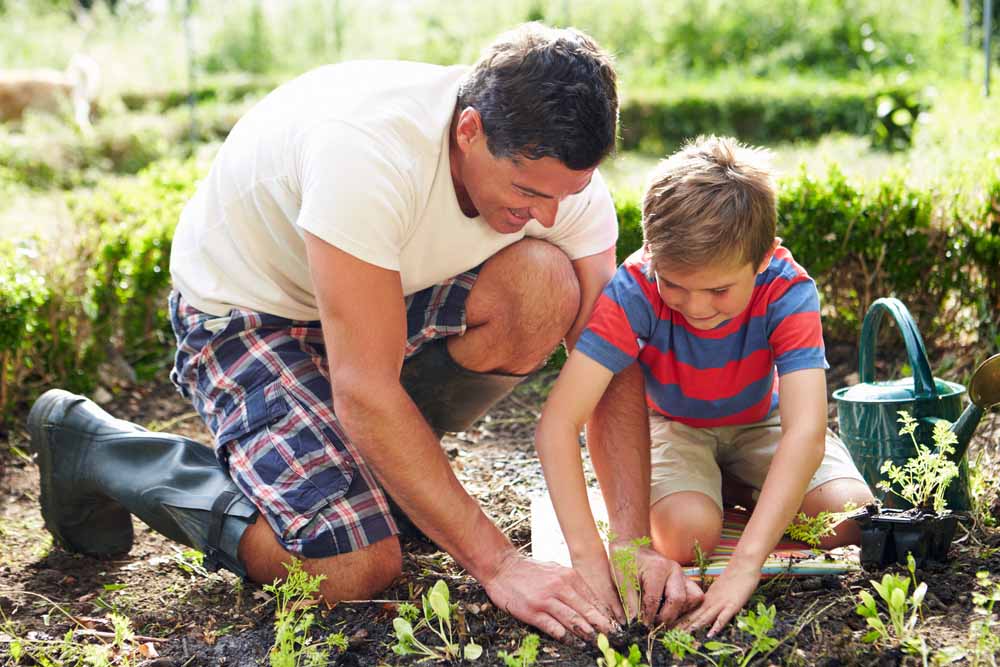 father-and-son-planting-seedlings